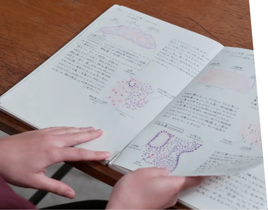 プロフィール写真